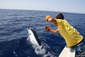 deep sea fishing mauritius